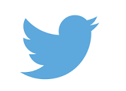 Twitter logo. A side profile of a blue bird.